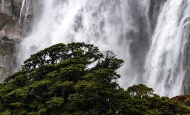 Materuni Waterfalls & Coffee Tour