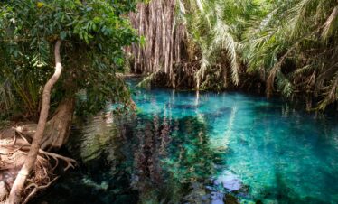 Chemka Hot Springs (Kikuletwa) 1-Day Trip