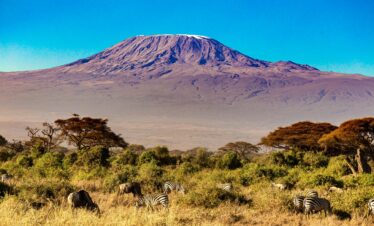 6 Days Kilimanjaro Climb via Rongai Route